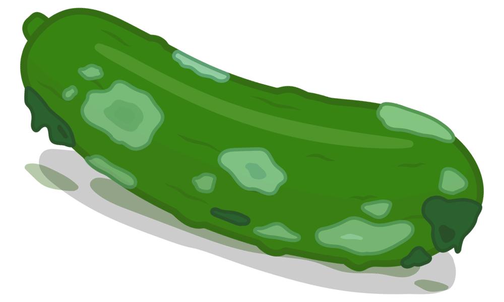 squishy cucumber